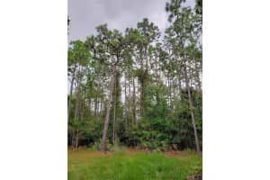 5125 MOORE STREET, ST CLOUD, FL 34771 - MLS#MFRO6358300