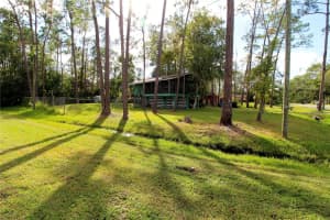 14712 HENSON ROAD, ORLANDO, FL 32832 - MLS#MFRO6358303