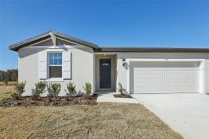 7177 RAY CREEK DRIVE, BROOKSVILLE, FL 34601 - MLS#MFRO6358480