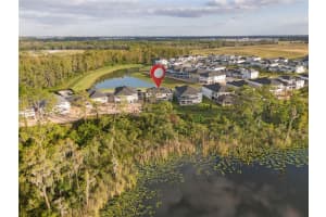 17384 GLOSSY POMELO WAY, WINTER GARDEN, FL 34787 - MLS#MFRO6358512