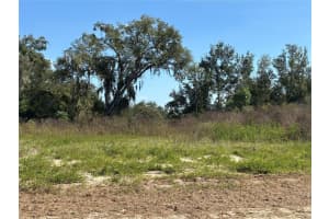 2836 NAHELE TRAIL, APOPKA, FL 32712 - MLS#MFRO6358518