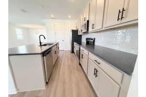 30155 RUSTIC MILL STREET, MOUNT DORA, FL 32757 - MLS#MFRO6358958