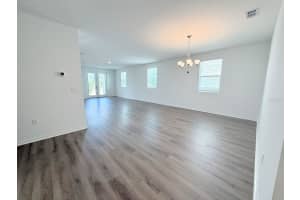 30155 RUSTIC MILL STREET, MOUNT DORA, FL 32757 - MLS#MFRO6358958