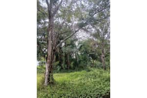 18565 16TH AVENUE, ORLANDO, FL 32833 - MLS#MFRO6359074