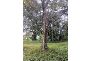 18565 16TH AVENUE, ORLANDO, FL 32833 - MLS#MFRO6359074