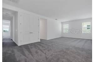 4496 MONADO DRIVE, KISSIMMEE, FL 34746 - MLS#MFRO6359245