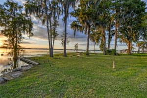 9650 KILGORE ROAD, ORLANDO, FL 32836 - MLS#MFRO6359270