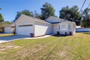40042 PALM STREET, LADY LAKE, FL 32159 - MLS#MFRO6359293