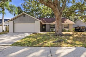 15009 NAPLES PLACE, TAMPA, FL 33624 - MLS#MFRO6359513