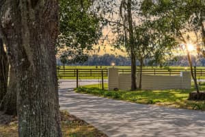 2878 S US 301, SUMTERVILLE, FL 33585 - MLS#MFRO6359547