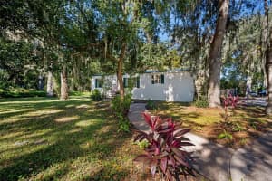 2878 S US 301, SUMTERVILLE, FL 33585 - MLS#MFRO6359547