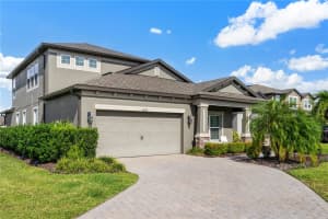 11047 SAGE CANYON DRIVE, RIVERVIEW, FL 33578 - MLS#MFRO6359553