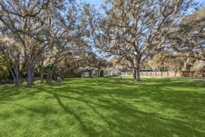 23934 WOLF BRANCH ROAD, SORRENTO, FL 32776 - MLS#MFRO6359589