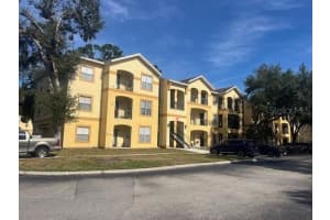 5602 PINNACLE HEIGHTS CIRCLE, TAMPA, FL 33624 - MLS#MFRO6359730