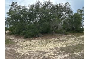 SW 168TH LOOP, OCALA, FL 34473 - MLS#MFRO6359780