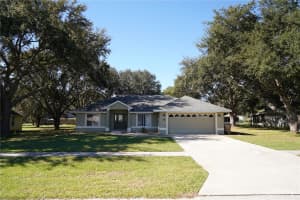 36517 FRANCIS DRIVE, GRAND ISLAND, FL 32735 - MLS#MFRO6359818