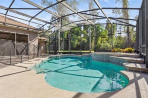 11108 LEDGEMENT LANE, WINDERMERE, FL 34786 Sold 12/09/25