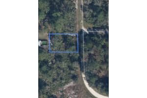 243 AUDREY AVENUE, LAKE PLACID, FL 33852 - MLS#MFRO6359869