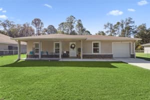 61 GUAVA TRAIL, OCKLAWAHA, FL 32179 - MLS#MFRO6360099