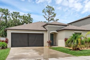12953 WILDFLOWER MEADOW DRIVE, RIVERVIEW, FL 33579 - MLS#MFRO6360119