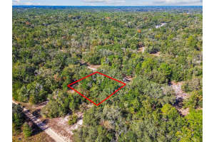 2903 TYLER STREET, INVERNESS, FL 34453 - MLS#MFRO6360166