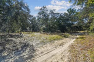 2903 TYLER STREET, INVERNESS, FL 34453 - MLS#MFRO6360166