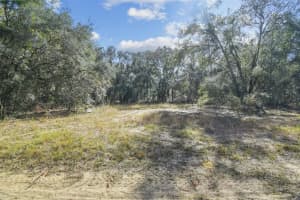 2903 TYLER STREET, INVERNESS, FL 34453 - MLS#MFRO6360166