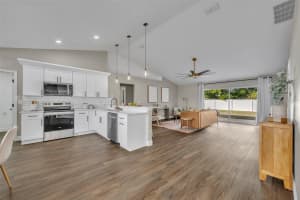 1103 PEREGRINE STREET, GROVELAND, FL 34736 - MLS#MFRO6360232