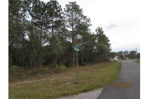 3108 RANDOLPH LANE, CITRUS SPRINGS, FL 34433 - MLS#MFRO6360376