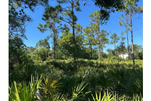 27028 CHAMOIS DRIVE, PUNTA GORDA, FL 33955 - MLS#MFRO6360413