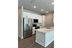 1001 CAROLINE STREET, TAVARES, FL 32778 - MLS#MFRO6360426