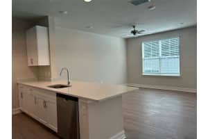 1001 CAROLINE STREET, TAVARES, FL 32778 - MLS#MFRO6360426