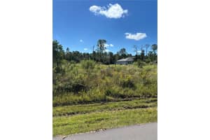 8011 ANCHA STREET, SEBRING, FL 33872 - MLS#MFRO6360495