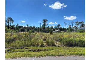 8011 ANCHA STREET, SEBRING, FL 33872 - MLS#MFRO6360495