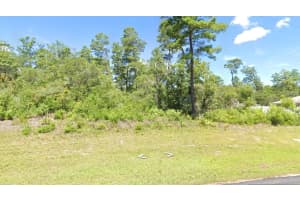 MARION OAK, OCALA, FL 34473 - MLS#MFRO6360609