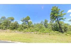 MARION OAK, OCALA, FL 34473 - MLS#MFRO6360609