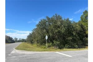 CORONET AVE, ORLANDO, FL 32833 - MLS#MFRO6360639