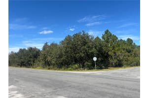 CORONET AVE, ORLANDO, FL 32833 - MLS#MFRO6360639