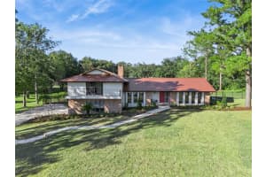 317 Forest Trl, OVIEDO