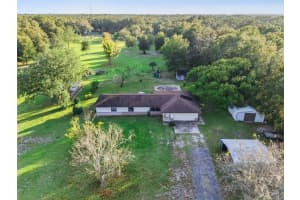 1167 OHIO STREET, DE LEON SPRINGS, FL 32130 - MLS#MFRO6360860