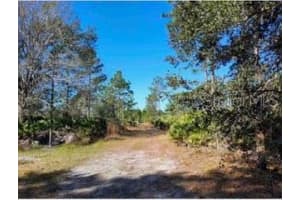 1448 BLEASE AVENUE, ORLANDO, FL 32833 - MLS#MFRO6360968