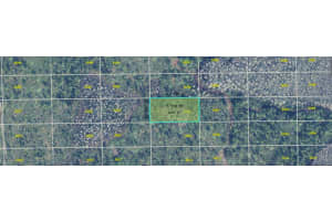 DILL RD, ORLANDO, FL 32820 - MLS#MFRO6361156