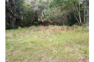 CARVER ST, MIMS, FL 32754 - MLS#MFRO6361158