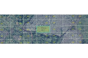 DILL RD, ORLANDO, FL 32820 - MLS#MFRO6361165