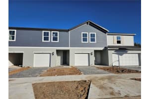 717 Spartina Way, LADY LAKE