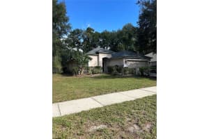 1211 PAT PATTERSON COURT, APOPKA, FL 32712 - MLS#MFRO6361214