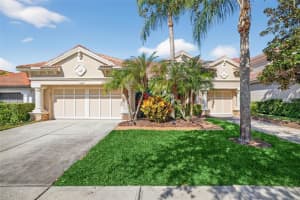 11627 Bristol Chase Dr, TAMPA