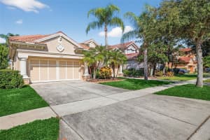 11627 BRISTOL CHASE DRIVE, TAMPA, FL 33626 - MLS#MFRO6361244