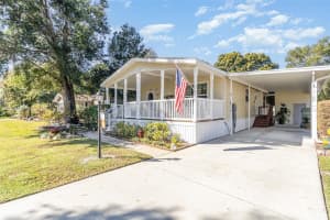1729 STACEY DRIVE, MOUNT DORA, FL 32757 - MLS#MFRO6361318