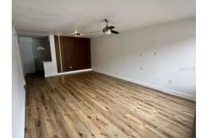 1234 SAGO PALM BOULEVARD, KISSIMMEE, FL 34741 - MLS#MFRO6361421